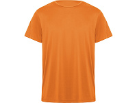 Спортивная футболка Daytona мужская