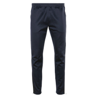 Брюки мужские STAN полиэстер, 260, 94